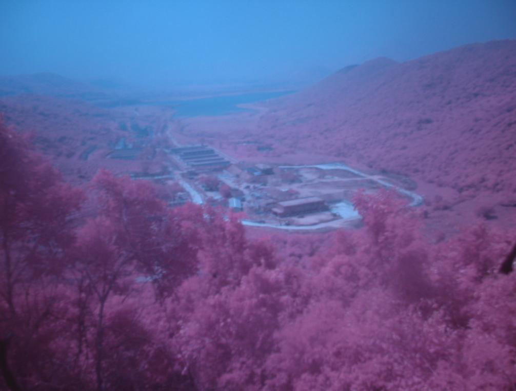 �Gɫ�z�(y��n)�R��ĳ���̵�·���bǰЧ���D